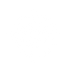 0.05*0.05mm Laser Spot